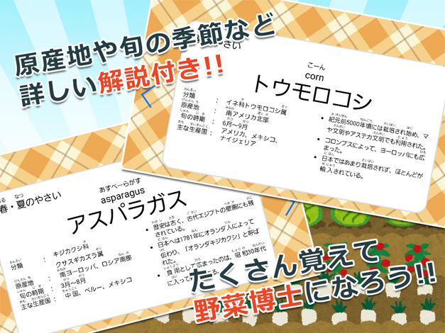 ［RK English］ANYWARE 子供向け 英語学習 知育アプリ みんなの野菜カード